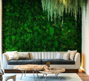 Biophilic Design